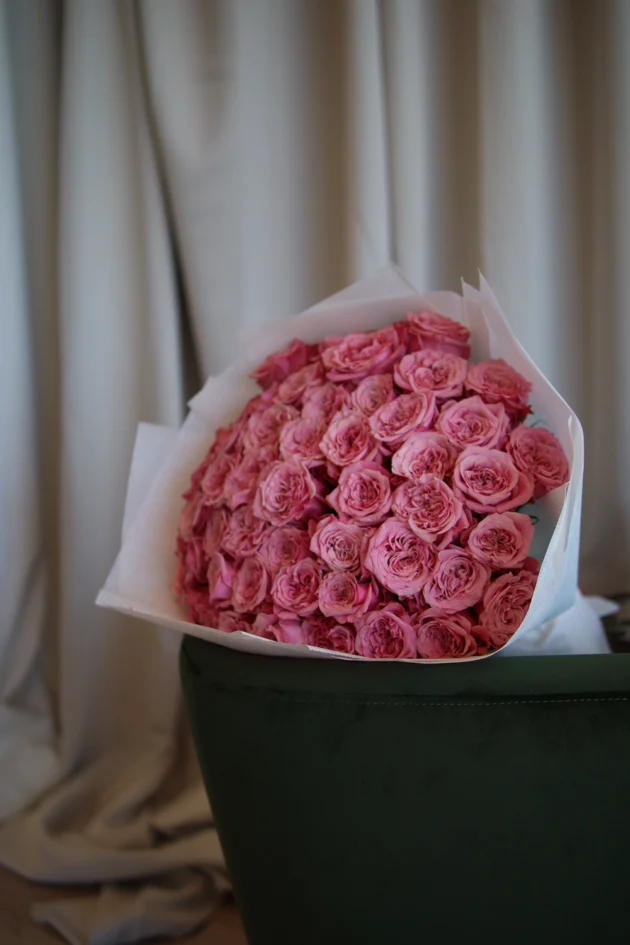 Roses 018