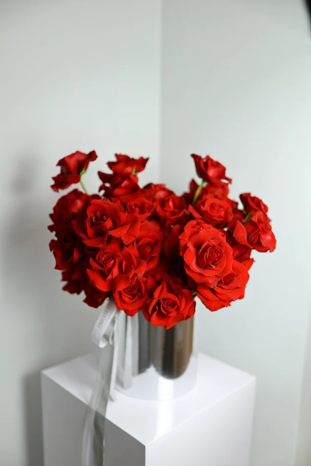 Roses 002